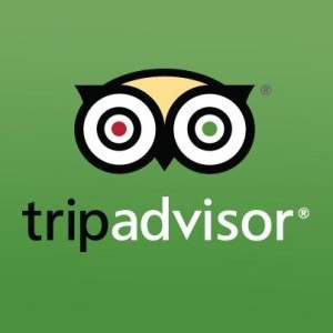 hide+bad+review+tripadvisor